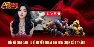 Đá Gà Cựa Dao AE888- 5 Bí Quyết Tham Gia Lựa Chọn Cửa Thắng